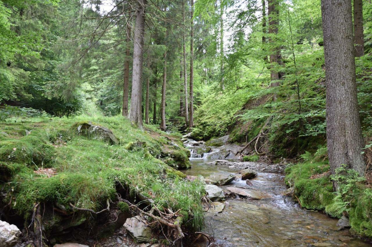 Marschalls Hotel Am Rennsteig Neuhaus am Rennweg Kültér fotó